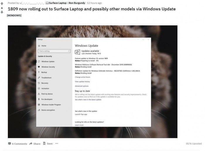 Windows 10 19H1快速預覽版18305更新內容大全