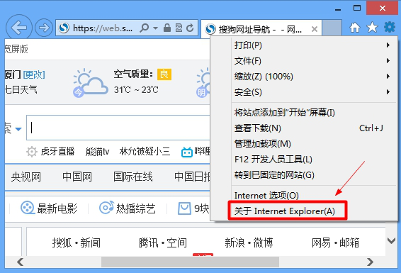 Internet選項